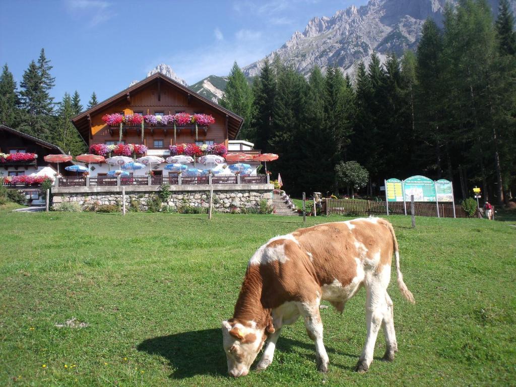 Gasthof Edelbrunn Hotel Ramsau am Dachstein Luaran gambar